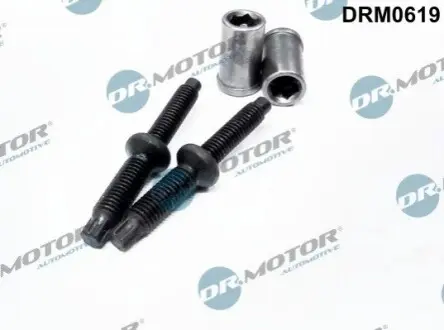 Болт кріплення форсунки Citroen Jumpy 2.0HDI 00-16 (к-кт 2 шт) DR.MOTOR DRM0619 Купити в Україні