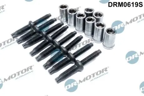 Болт кріплення форсунки Citroen Jumpy 2.0HDI 00-16 (к-кт 8 шт) DR.MOTOR DRM0619S Купити в Україні
