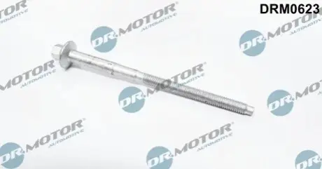 Болт кріплення форсунки Citroen Jumper 2.2HDI 06 DR.MOTOR DRM0623 Купити в Україні