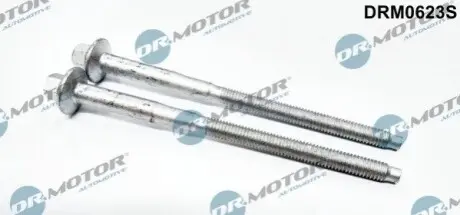 Болт кріплення форсунки Citroen Jumper 2.2HDI 06 DR.MOTOR DRM0623S Купити в Україні