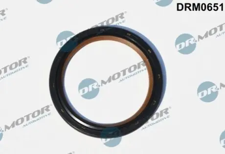 Автозапчасть DR.MOTOR DRM0651