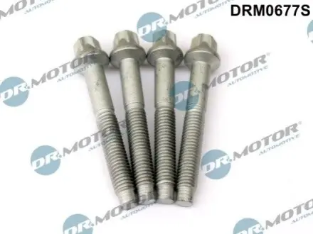 Болт кріплення форсунки Citroen Berlingo 1.6HDI 05- (к-кт 4 шт) DR.MOTOR DRM0677S Купити в Україні