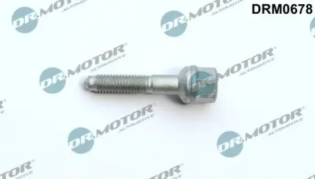 Болт кріплення форсунки Ford Fiesta V/VI 1.4 TDCI 02 DR.MOTOR DRM0678 Купити в Україні