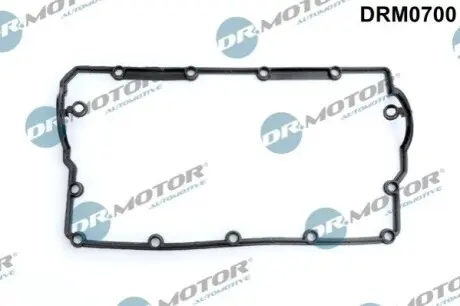 Прокладка кришки клапанів VW T5 1.9TDI 03 DR.MOTOR DRM0700 Купити в Україні