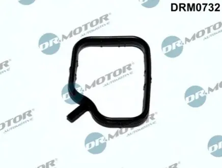 Прокладка фланця охолоджуючої рiдини DR.MOTOR DRM0732 Купити в Україні