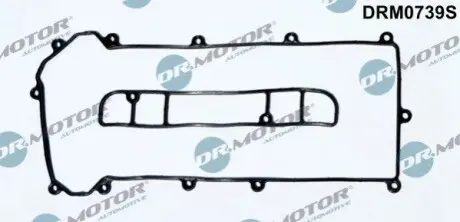 Комплект прокладок клапанної кришки 2 елементи DR.MOTOR DRM0739S Купити в Україні