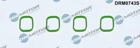 Прокладка корпуса колектора впускного VW Golf V/VI 1.4 TSI 03- (к-кт) DR.MOTOR DRM0743S