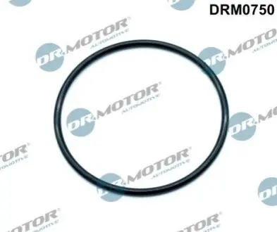 Прокладка клапана EGR ущільнююча VW Crafter 2,5 TDI 06-13 DR.MOTOR DRM0750 Купити в Україні