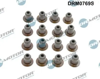 Сальник клапана (впуск/випуск) Fiat Ducato 2.3/3.0JTD 06- (к-кт 16 шт) DR.MOTOR DRM0769S Купити в Україні
