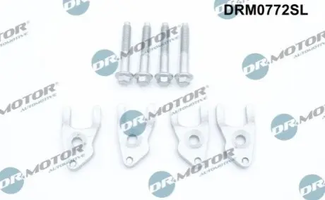 Болт кріплення форсунки Ford Transit 2.2 TDCi 11-18 (+ кронштейн)/(к-кт на 4 шт) DR.MOTOR DRM0772SL Купити в Україні