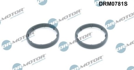 Автозапчасть DR.MOTOR DRM0781S