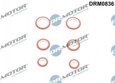 Кольцо резиновое DR.MOTOR DRM0836