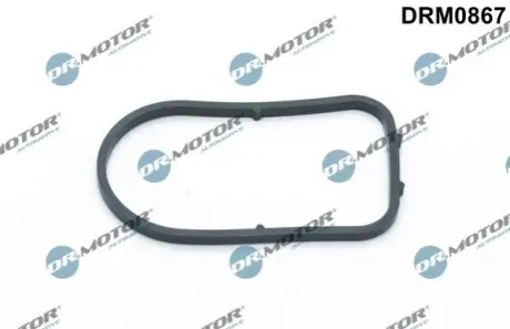 Прокладка насосу вакуумного Opel Astra G/Omega B/Vectra C 2.0-2.2 DTI/DI 96-08 DR.MOTOR DRM0867 Купити в Україні