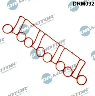 Фото Прокладка колектора впускного VW Golf V 2.0 TDI 03-13 DR.MOTOR (DRM092) зображення 1