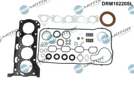 Комплект прокладок з різних матеріалів DR.MOTOR DRM10220SL Купити в Україні