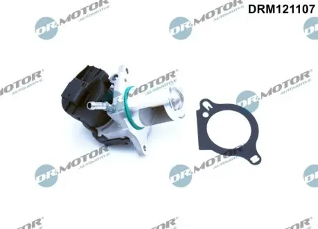ZAWR EGR DB OM642 DR.MOTOR DRM121107 Купить в Украине