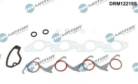 Комплект прокладок двигуна 12 елементів DR.MOTOR DRM12219S