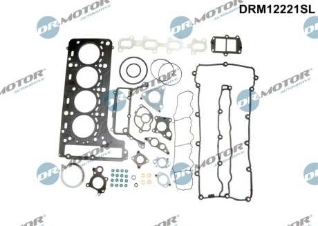 Комплект прокладок з різних матеріалів DR.MOTOR DRM12221SL (фото 1)