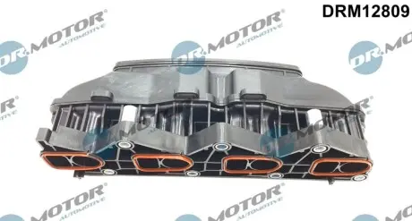 Колектор впускний MB Sprinter (W906) 2.2CDI (OM646) 06-09 DR.MOTOR DRM12809 Купити в Україні