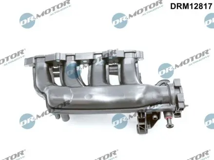 Колектор впускний MB E-class (W211/W212) 1.8 (M271) 06-15 (без перемикаючого ругулятора) DR.MOTOR DRM12817 Купити в Україні
