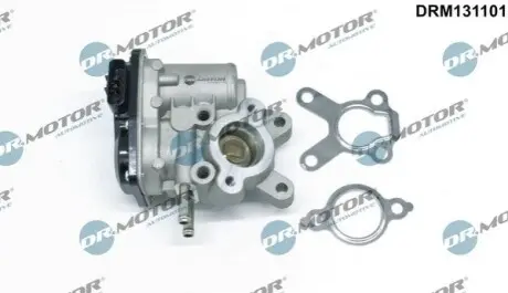 Клапан рециркуляції газів DR.MOTOR DRM131101 Купити в Україні