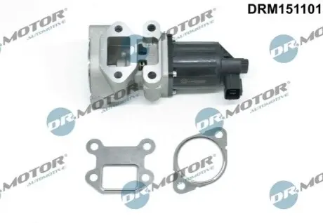 Клапан рециркуляції газів DR.MOTOR DRM151101 Купити в Україні