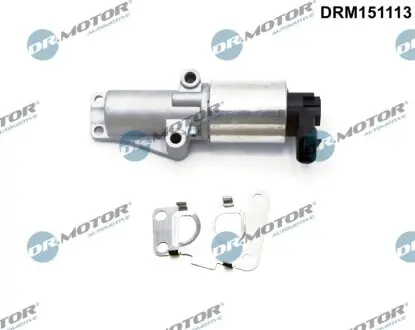 Клапан рециркуляції газів DR.MOTOR DRM151113 Купити в Україні