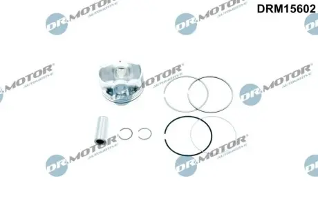 Автозапчасть DR.MOTOR DRM15602 Купить в Украине