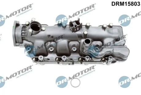 Колектор впускний Opel Astra J/Insignia A 2.0CDTI 08-17 DR.MOTOR DRM15803 Купити в Україні