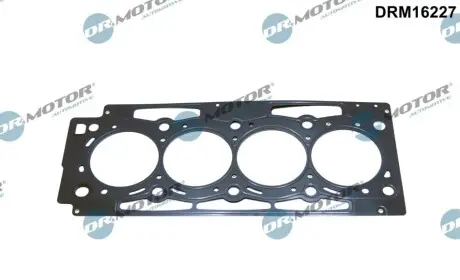 Прокладка ГБЦ Citroen C8/Peugeot 406/407/607/807 2.2 04 DR.MOTOR DRM16227 Купити в Україні