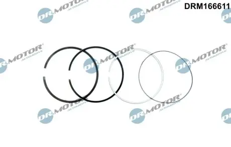 Кільця поршневі DR.MOTOR DRM166611 Купить в Украине