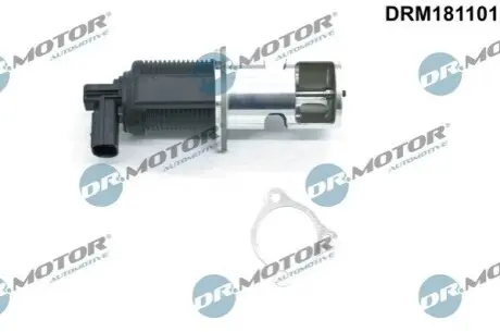 Клапан EGR DR.MOTOR DRM181101 Купити в Україні
