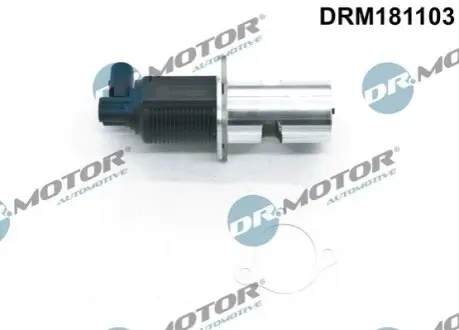 Фото Клапан рециркуляції газів DR.MOTOR (DRM181103) зображення 1