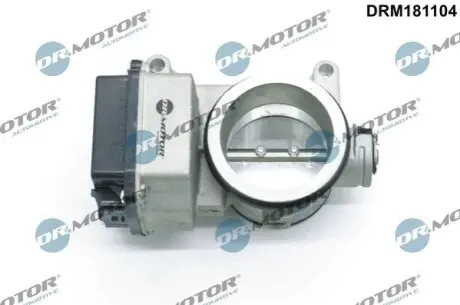 Дросельна заслонка 8200063652, 8200083206, 8200123061, XPOT482, 12102002 DR.MOTOR DRM181104 Купити в Україні