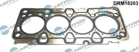 Прокладка пiд головку DACIA 05-/NISSAN 03-/RENAULT 01-/SUZUKI 03 DR.MOTOR DRM18203 Купити в Україні