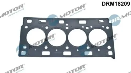 Прокладка ГБЦ Renault Master 2.2dTi/dCi 00-, Ø88,00mm, 1.24mm DR.MOTOR DRM18209 Купити в Україні