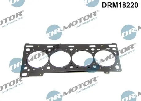 Прокладка ГБЦ Opel Vivaro/Renault Trafic 2.0 16V 01 DR.MOTOR DRM18220 Купити в Україні