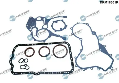 Комплект прокладок (нижній) Renault Master 2.2/2.5dCi 00 DR.MOTOR DRM18301R Купити в Україні