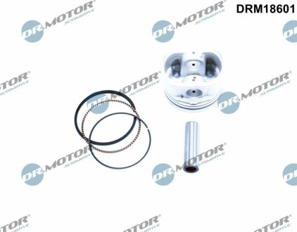 Автозапчастина DR.MOTOR DRM18601