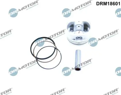 Поршень Renault Megane II-III/Scenic II-III 1.6 02- (79.5mm/STD) DR.MOTOR DRM18601 Купити в Україні