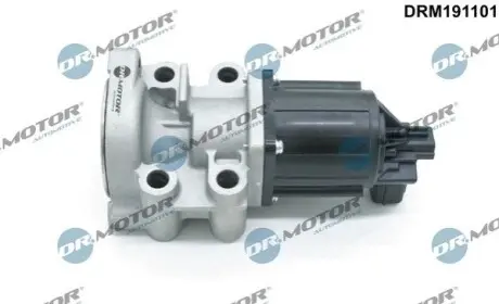 Клапан рециркуляции газов DR.MOTOR DRM191101 Купить в Украине