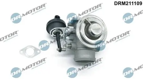 Клапан рециркуляцiї DR.MOTOR DRM211109 Купити в Україні