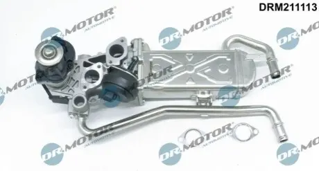 Радіатор рециркуляції ВГ з клапаном EGR VW Polo/Skoda Fabia 1.2TDI 09 DR.MOTOR DRM211113 Купити в Україні
