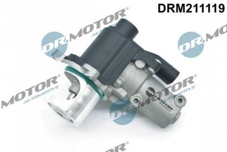 Клапан рециркуляції газів DR.MOTOR DRM211119 (фото 1)