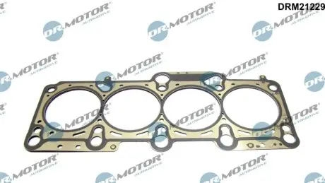 Прокладка ГБЦ VW Golf/Jetta/Passat 2.0FSI 04-10 DR.MOTOR DRM21229 Купити в Україні