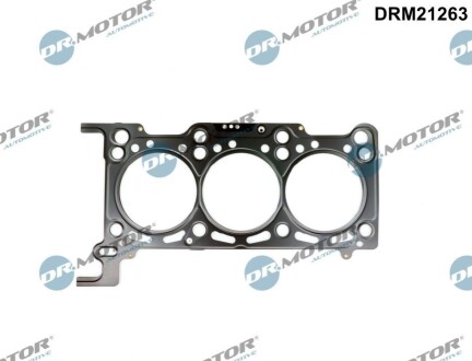 Автозапчасть DR.MOTOR DRM21263