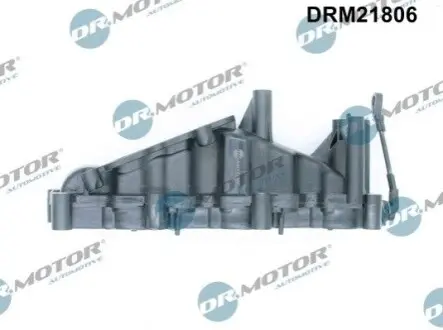 Колектор впускний Audi A4/A6/A8 2.7-3.0TDI 04-11 (R) DR.MOTOR DRM21806 Купити в Україні