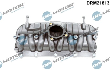 Система впуску DR.MOTOR DRM21813