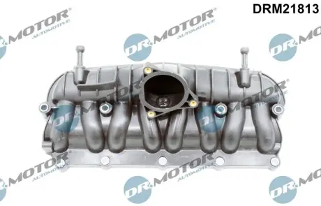 Автозапчасть DR.MOTOR DRM21813