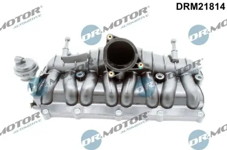 Колектор впускний Audi A3/VW Golf V/Passat 2.0 TDI 05-12 DR.MOTOR DRM21814 Купити в Україні